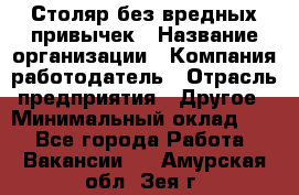 Столяр без вредных привычек › Название организации ­ Компания-работодатель › Отрасль предприятия ­ Другое › Минимальный оклад ­ 1 - Все города Работа » Вакансии   . Амурская обл.,Зея г.